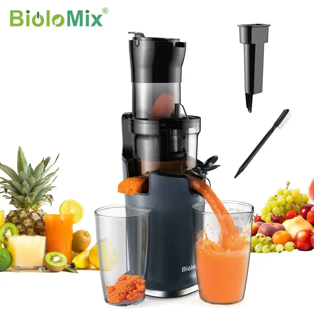 Blendiva Cold Press Slow Juicer