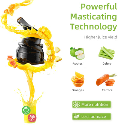 Blendiva Cold Press Slow Juicer