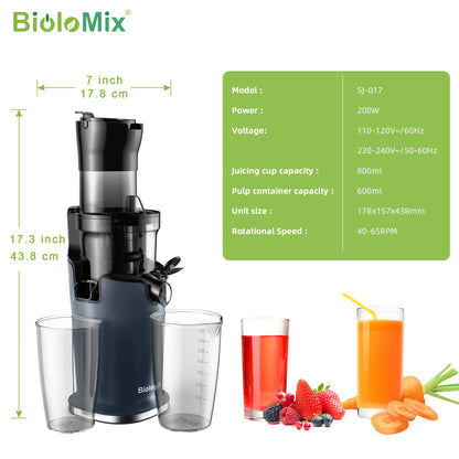 Blendiva Cold Press Slow Juicer