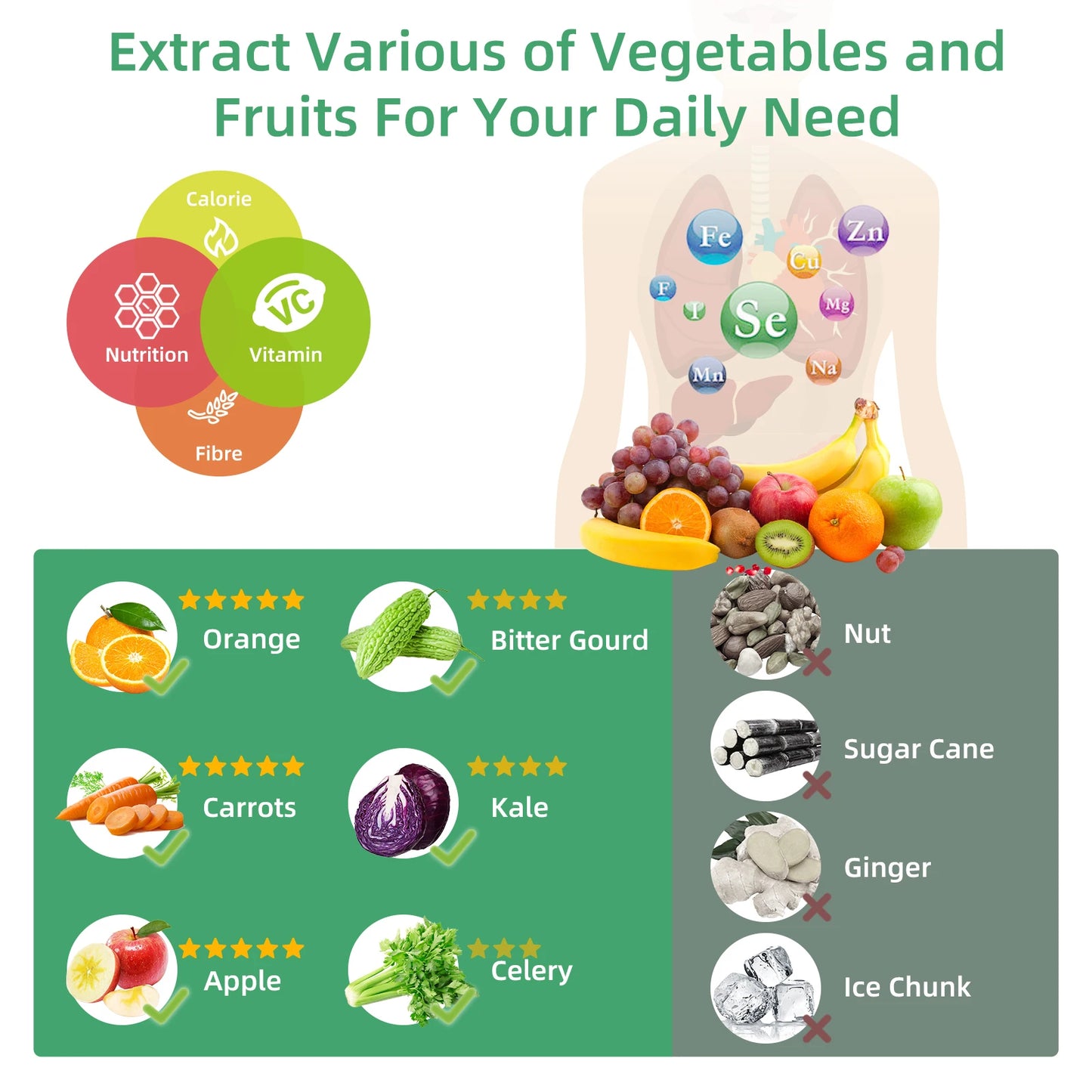 Blendiva Cold Press Slow Juicer